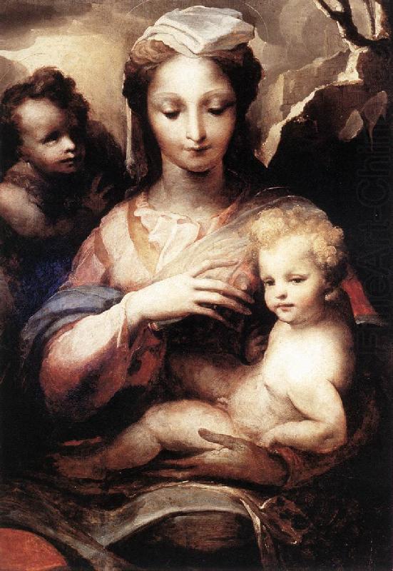 BECCAFUMI, Domenico Madonna with the Infant Christ and St John the Baptist  gfgf china oil painting image